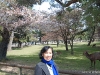 Nara Park 