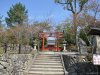 Tenryuji Temple @ Arashiyama