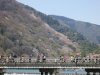 Togetsukyo Bridge and Arashiyama Park