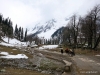 Sonarmarg, Kashmir