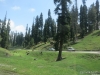 Gulmarg, Kashmir
