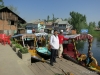 Dal Lake, Srinagar, Kashmir