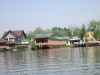 Dal Lake, Srinagar, Kashmir